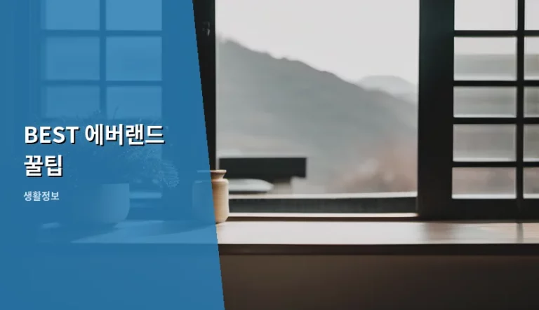 BEST 에버랜드 꿀팁 완벽 가이드