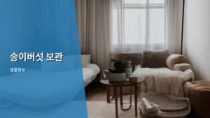 송이버섯 신선하게 오래 보관하는 방법 완벽 가이드