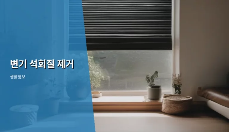 변기 석회질 제거 방법과 관리 노하우