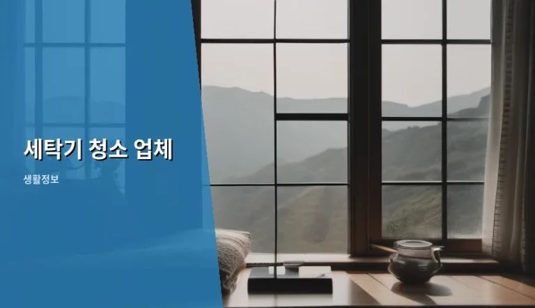 세탁기 청소 업체 선정 기준과 관리 방법