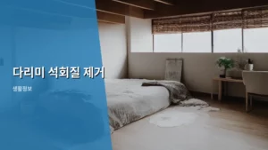 다리미 석회질 제거, 쉬운 방법으로 깨끗하게 관리하는 꿀팁 공개