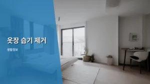 옷장 습기 제거, 옷을 신선하게 지키는 생활 꿀팁 대방출