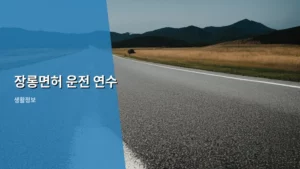장롱면허 탈출! 2026년 완벽 대비 장롱면허 운전 연수로 자신감 되찾기