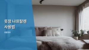 오래된 옷장 속 꿉꿉한 냄새, 나프탈렌 사용법으로 해결하는 법