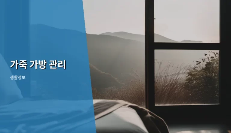 오래도록 곁에 두고 싶은 가죽 가방 관리 노하우와 꿀팁