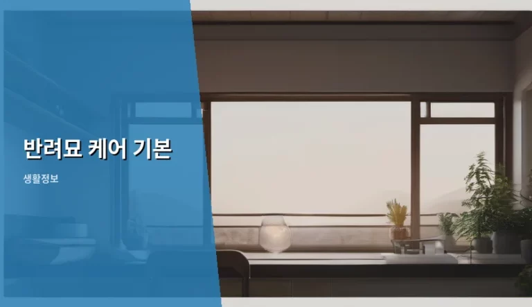 초보 집사를 위한 반려묘 케어 기본 가이드와 꼭 알아야 할 주의사항