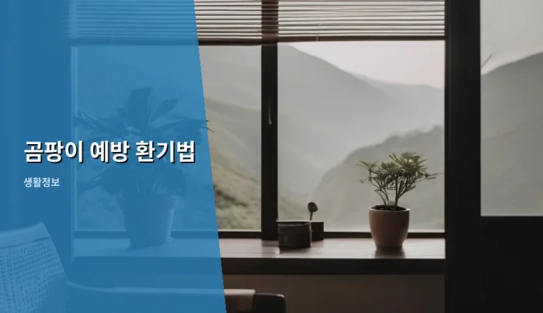 쾌적한 실내 공기를 위한 곰팡이 예방 환기법 실천 가이드