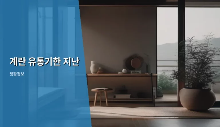 계란 유통기한 지난 것 먹어도 괜찮을까? 신선도 확인법과 보관 꿀팁 정리