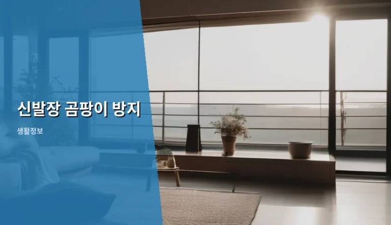 신발장 곰팡이 방지 관리 방법과 꿀팁