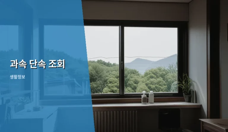 과속 단속 조회 방법과 과태료 감경 팁 정리