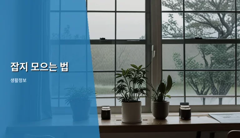 소장 가치 높이는 잡지 모으는 법과 보관 팁