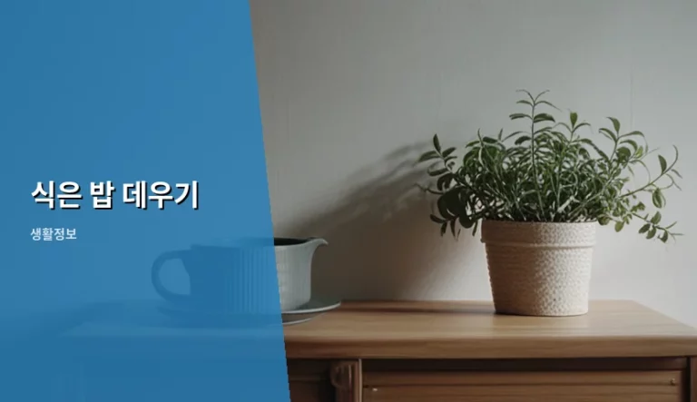 식은 밥 데우기 꿀팁과 갓 지은 밥처럼 만드는 방법
