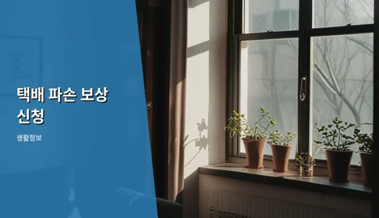 택배 파손 보상 신청 방법과 보상금 받는 팁