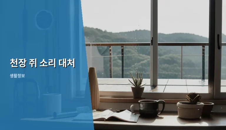천장 쥐 소리 대처 방법과 확실한 퇴치 가이드