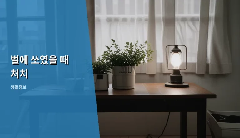 벌에 쏘였을 때 처치 방법과 응급조치 가이드