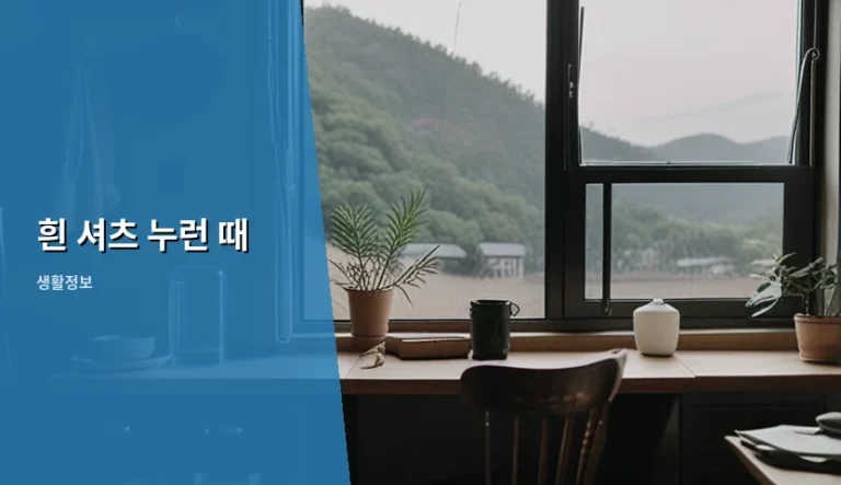흰 셔츠 누런 때 제거 방법과 깨끗한 옷 관리 팁