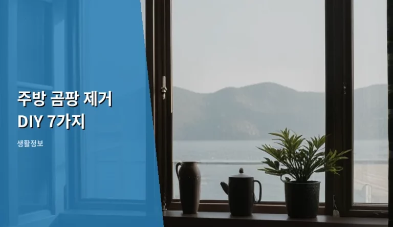 주방 곰팡 제거 DIY 7가지 방법과 관리 노하우