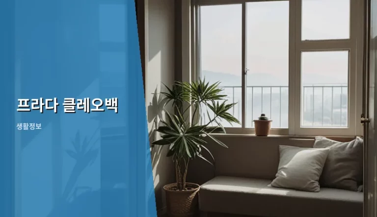 프라다 클레오백 선택 가이드와 관리 방법