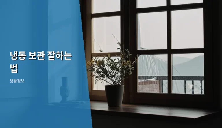 식재료 신선함을 유지하는 냉동 보관 잘하는 법 가이드
