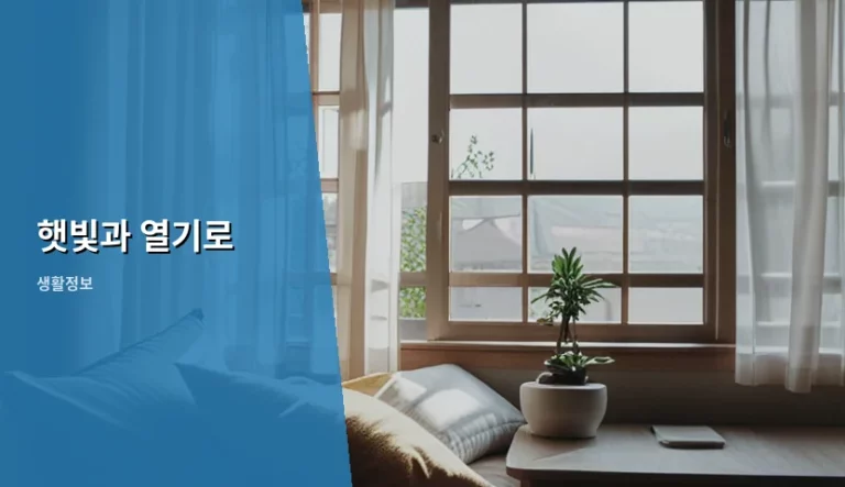 햇빛과 열기로 인한 피부 손상 방지 및 실내 온도 관리법