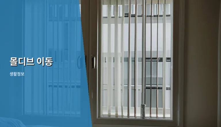 몰디브 리조트 이동 수단 및 환승 방법 가이드