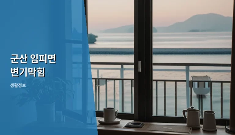 군산 임피면 변기막힘 원인과 해결 방법 가이드