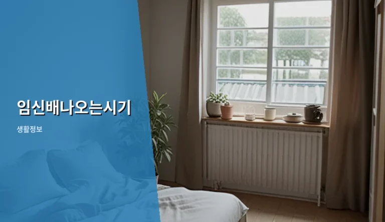 임신배나오는시기 시점과 주차별 변화 가이드
