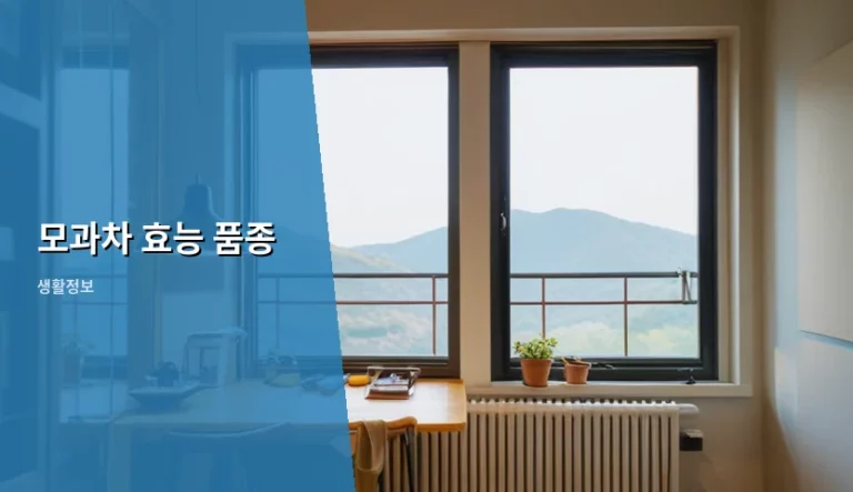 모과차 효능 품종 및 올바른 섭취 방법 안내