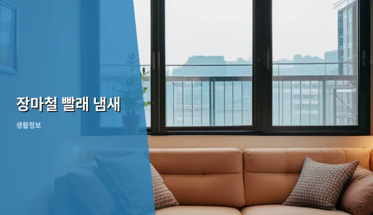 장마철 빨래 냄새 원인과 확실한 제거 방법