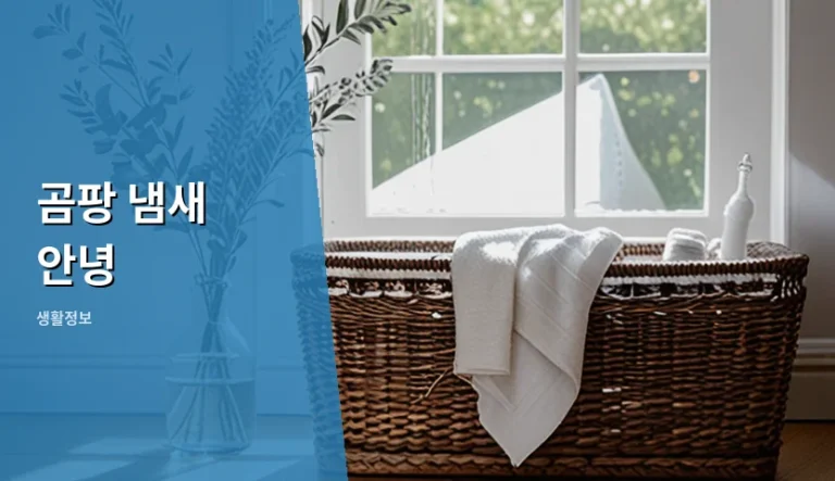 표면 청소와 근본 제거, 곰팡 냄새 안녕을 위한 선택은