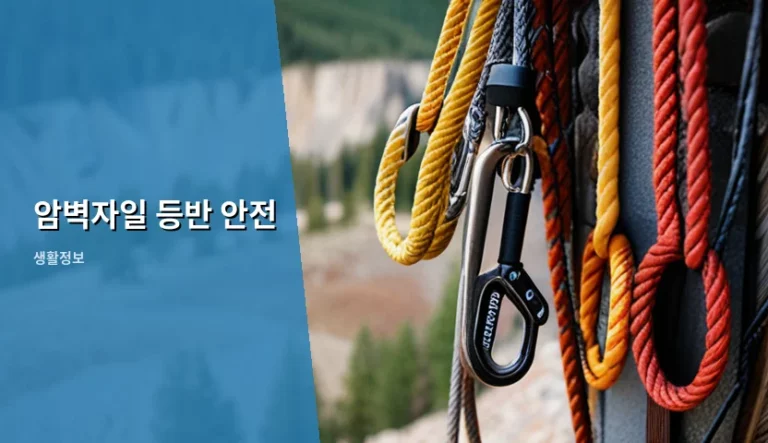 암벽자일 등반 안전 수칙과 장비 관리 방법