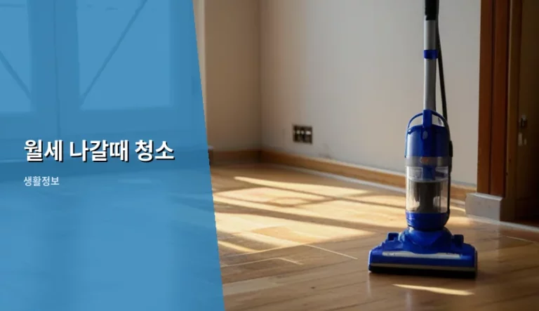 월세 계약 종료 후 집 비울 때 청소 범위가 고민될 때