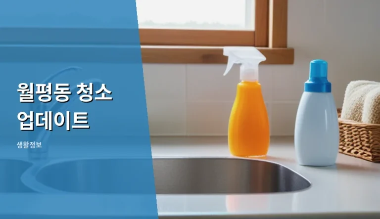 월평동 청소 업데이트 내용을 미리 체크해야 과태료를 피하는 이유
