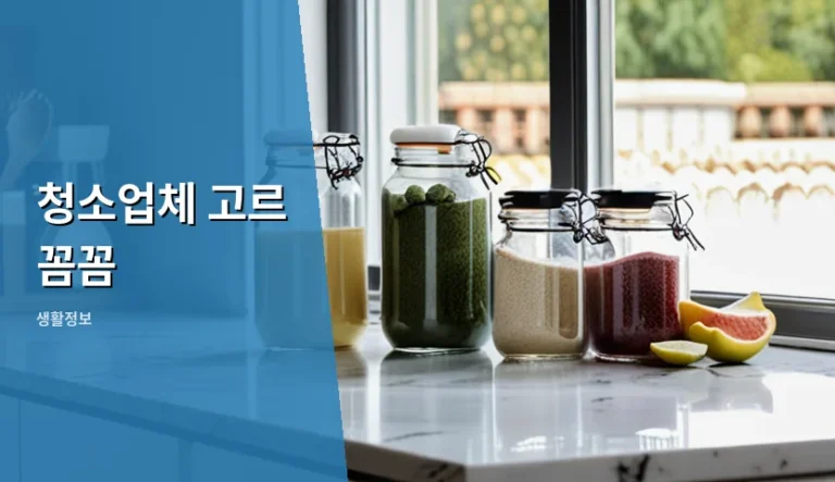 실패 없는 청소업체 고르 꼼꼼하게 하는 5가지 기준